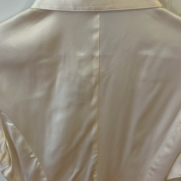 Bebe Silk Blouse - Picture 5 of 10